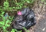 廣西南寧一嬰兒被裝塑料袋遺棄草叢 醫院：女嬰身體健康，已送新生兒科