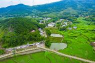 懷寧縣月山鎮復興村：落實“書記項目” 提升致富產業路 