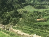 湖南粗石霧峽一男子高墜身亡 親屬稱找不到責(zé)任主體 當(dāng)?shù)鼗貞?yīng)：該景點(diǎn)未備案