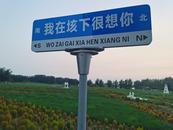 固鎮縣濠城鎮：狠抓文明創建，提升4A景區形象