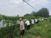 濉溪縣四鋪鎮：多措并舉管護光伏電站 助力鄉村振興提質增效