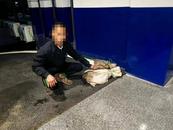 多起非法狩獵案告破 警方放生4700多只保護動物