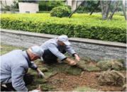 蕪湖市鳩江區青鋒社區：公益微創投 激發大力量  