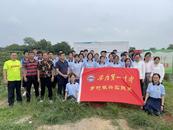 宜秀區羅嶺鎮花元村：研學途中的辣椒地