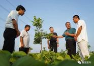 專家“把脈問診”，巢湖林企發(fā)展有“良方”