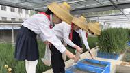 “花式”暑假作業“費”家長嗎？  | 霍女士：作業也是一種記錄孩子成長的方式