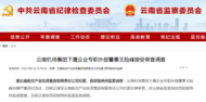 云南機場集團下屬企業專職外部董事王險峰接受審查調查
