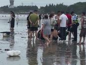 揪心！5名學(xué)生相約看海卻被大浪卷入海中 其中3人失聯(lián)