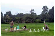 安慶養(yǎng)犬管理?xiàng)l例實(shí)施一年多 遛狗不拴繩現(xiàn)象仍時(shí)有發(fā)生