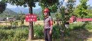宜秀區大龍山鎮桃元社區：聚焦秋季秸稈禁燒網 助力鄉村振興