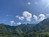 張文娟：我養了一座山