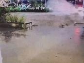 河水瞬間沖垮一座橋 暴雨已致福建仙游3座橋被沖垮
