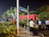 合肥市區一大貨車行駛中掛倒行道樹