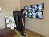 宜秀區楊橋鎮余墩村：多效并舉筑牢森林“防火墻”