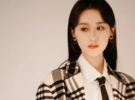  女星袁冰妍偷逃稅被罰款