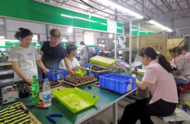河溜鎮(zhèn)：創(chuàng)新探索脫貧戶增收保脫、穩(wěn)脫新路子，提升保障脫貧綜合能力