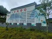 桐城市黃甲鎮(zhèn)水嶺村：統(tǒng)戰(zhàn)+模式 助力鄉(xiāng)村增顏提質(zhì)