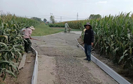 淮南市高皇鎮(zhèn)民主村：援建生產(chǎn)路幫扶惠民生