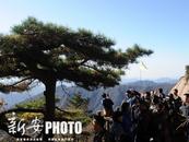 第十三屆安徽國際文化旅游節11月10日在黃山開幕