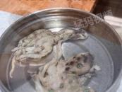 男子買3袋八爪魚發現2條藍環章魚 涉事門店回應