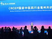 《RCEP國(guó)家中醫(yī)藥行業(yè)亳州共識(shí)》發(fā)布 各方將共同推進(jìn)中醫(yī)藥合作發(fā)展