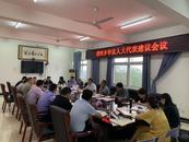 懷寧清河：人大發揮代表+作用  凝聚鄉村治理合力