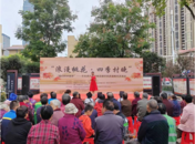 肥西縣桃花鎮(zhèn)舉辦文化惠民演出活動(dòng)
