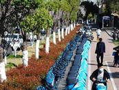 網友建議全面禁止共享單車 上海相關部門回應