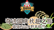 假期打卡好去處！合肥奇跡農(nóng)莊秋趣之旅