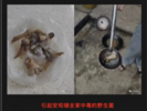 广西一家7口吃野生菌中毒，致2死2重症