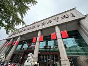 外國運動員組團逛杭州四季青，開口就是對半砍！店主：他們太會了