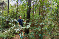 肥西：基層林長二十載守護山林平安