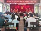 懷寧縣雷埠鄉召開第十九屆人民代表大會第三次會議 