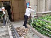 宜秀區(qū)大橋街道太平村：整治人居環(huán)境 提升生活質量