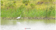 阜陽(yáng)陰雨持續(xù)“光顧” 天氣轉(zhuǎn)為涼爽