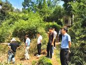 樅陽縣加大G330一級公路（錢鋪段）紅線外房屋征遷審查工作