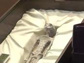 墨西哥展出疑似兩具“外星生物”遺骸！每只手3根手指 DNA顯示非人類