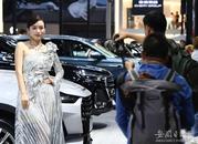 95個品牌集聚，千余輛車參展，合肥國際新能源汽車展覽會看點多多
