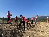 宜秀區大龍山鎮總鋪社區：黨建引領基層發展 繪就鄉村振興畫卷