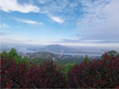 懷遠：打造水清岸綠生態美的靚麗淮河
