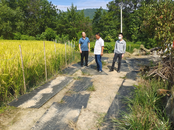 貴池區(qū)牌樓鎮(zhèn)：民生無(wú)小事 枝葉總關(guān)情