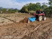 宜秀區五橫鄉虎山村：“黨建+”助推基層治理提質增效  