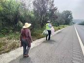 七旬老人上高速采桑葉 六安交警及時勸離