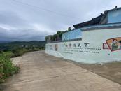 宜秀區羅嶺鎮林春村：小小文化墻點亮鄉村振興路