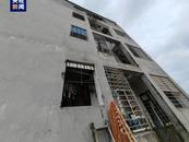 越南突發(fā)！已造成56人死亡