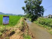 懷寧縣江鎮鎮日新村：黨建引領河道清淤，打通農業增收“大動脈” 