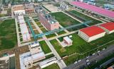 蚌埠建成全国首条生物基碳酸酯生产线