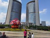 “歡度國慶”花籃亮相合肥市政務中心廣場