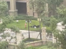 被恶犬咬伤的女童伤势如何？养犬人可能面临什么处罚？多方消息来了