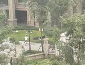 撕咬幼童惡犬主人是否找到？當(dāng)?shù)鼐交貞?yīng)